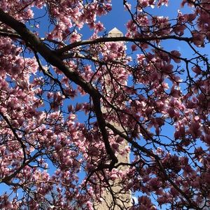 Meet your Posher, Britt